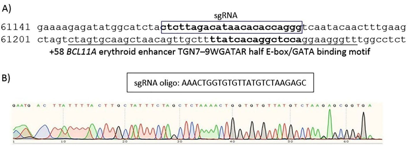 apb-13-799-g001