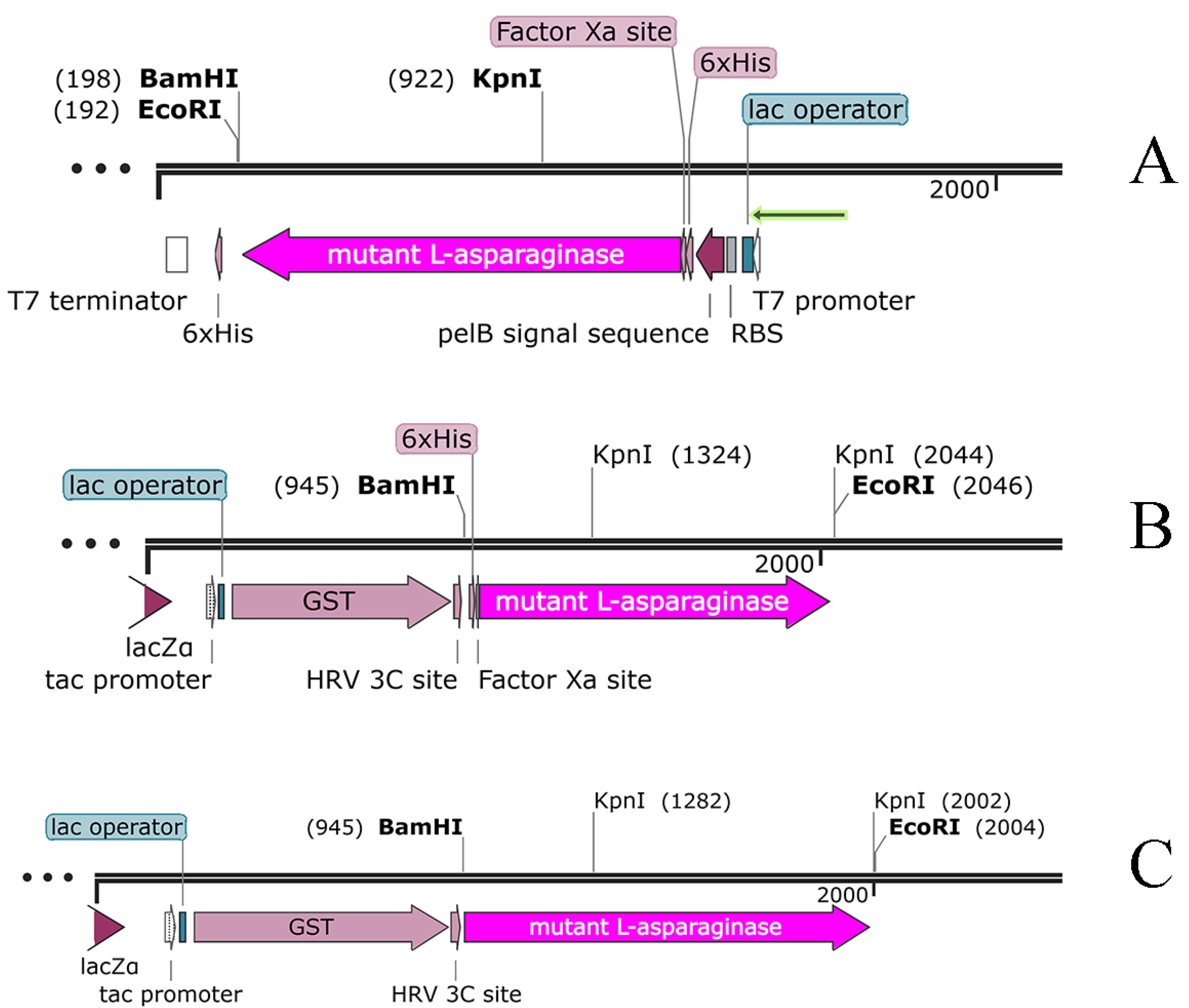 apb-14-675-g001