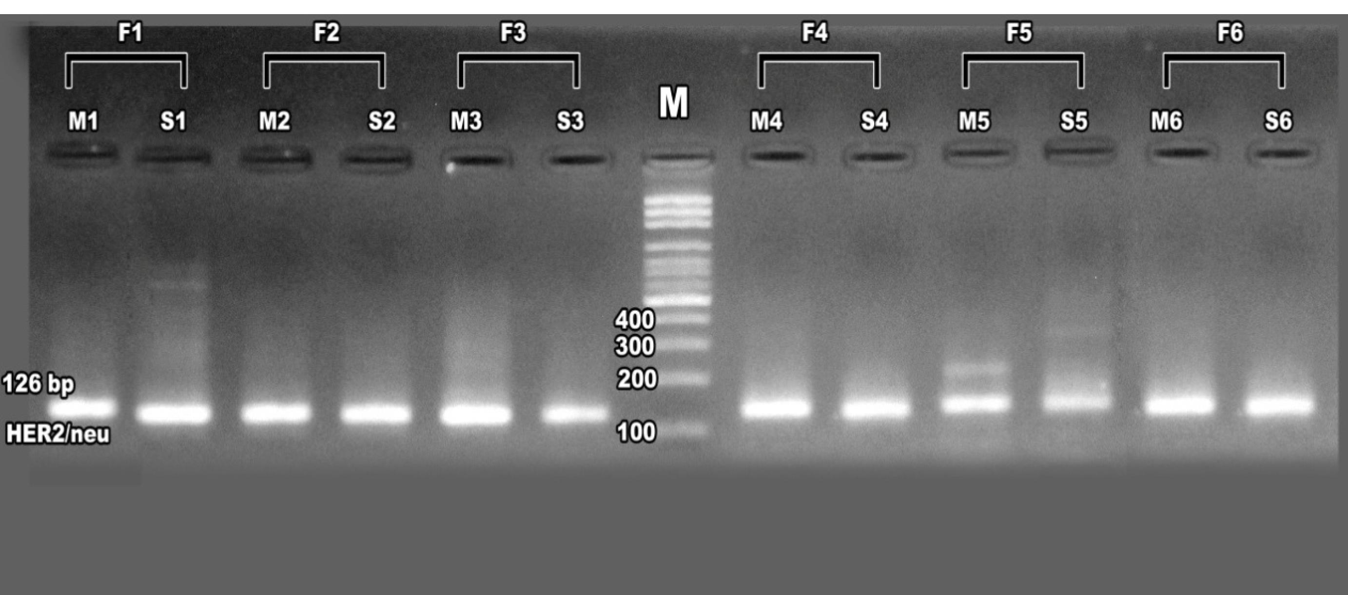 apb-15-637-g005