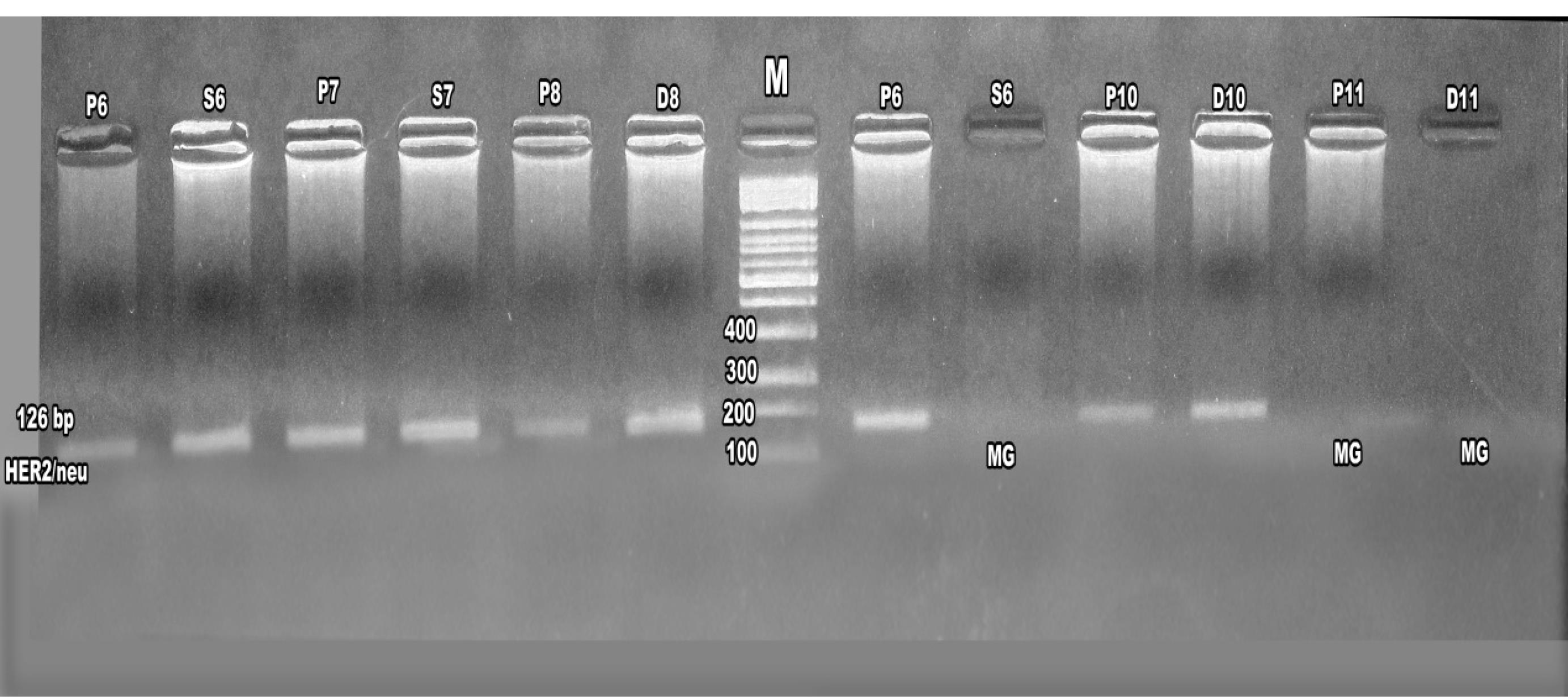 apb-15-637-g007