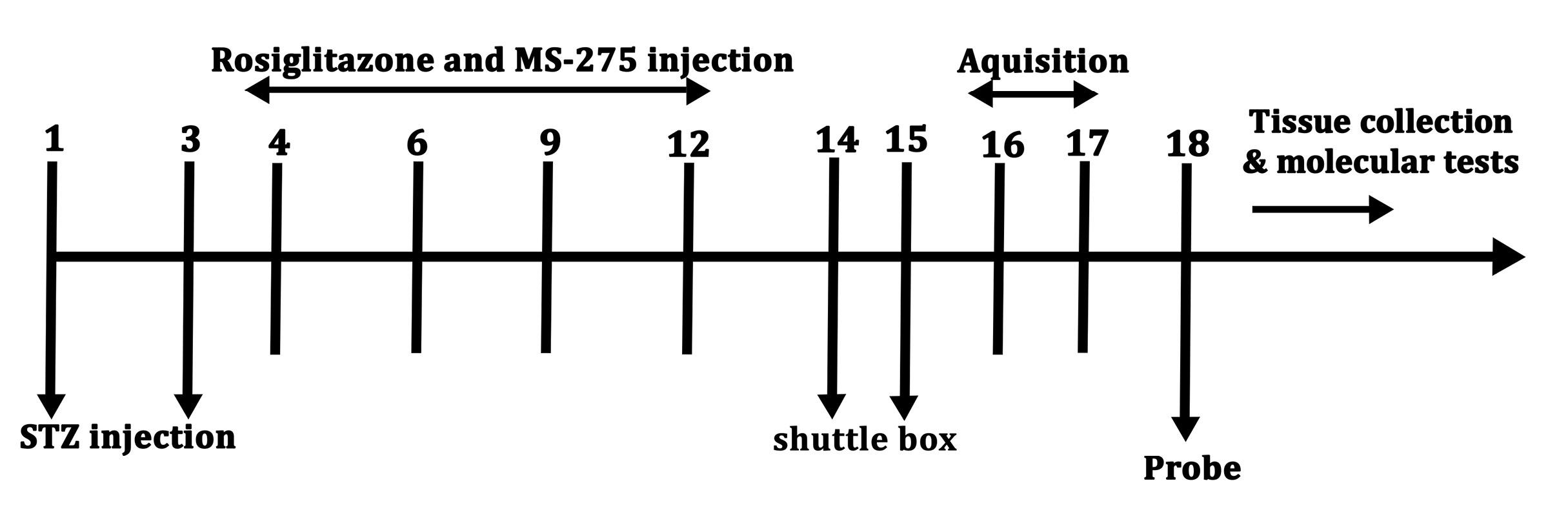 apb-16-157-g001